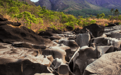 Chapadas no Brasil: um guia completo para amantes da natureza