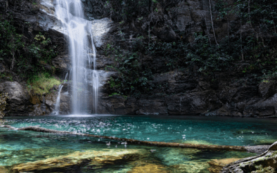 Ecoturismo: tudo o que você precisa saber