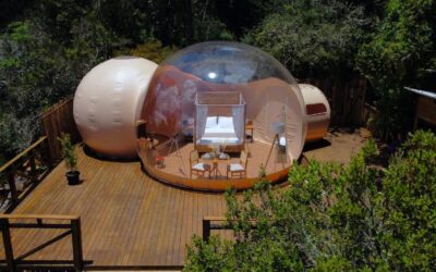 Zion Bubble Glamping